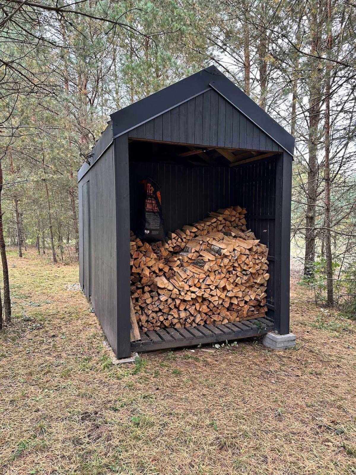 Local Forest * Vilnius
