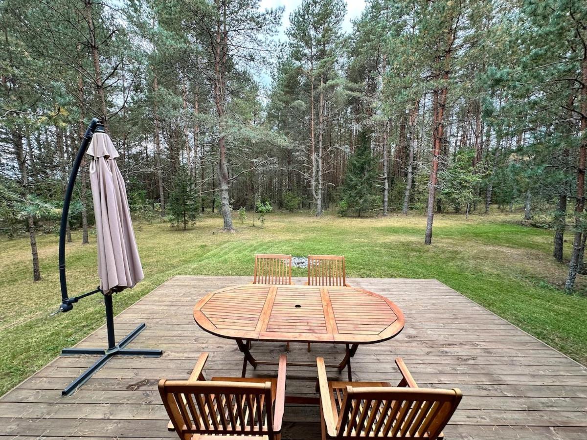 Local Forest Vilnius